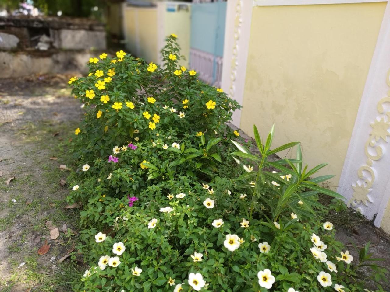 Casa Feliz Bed & Breakfast Fort Kochi Luaran gambar
